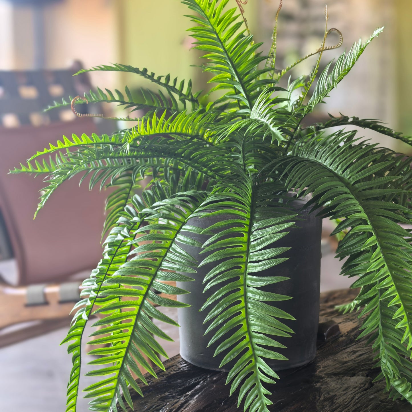 Artificial Boston Ferns 18 Leaves 21" Long