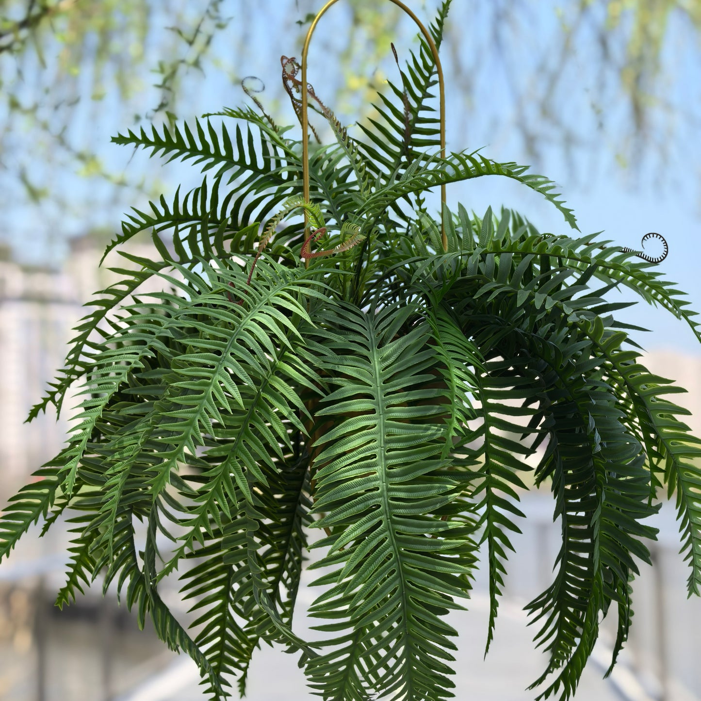 Artificial Boston Ferns 18 Leaves 21" Long