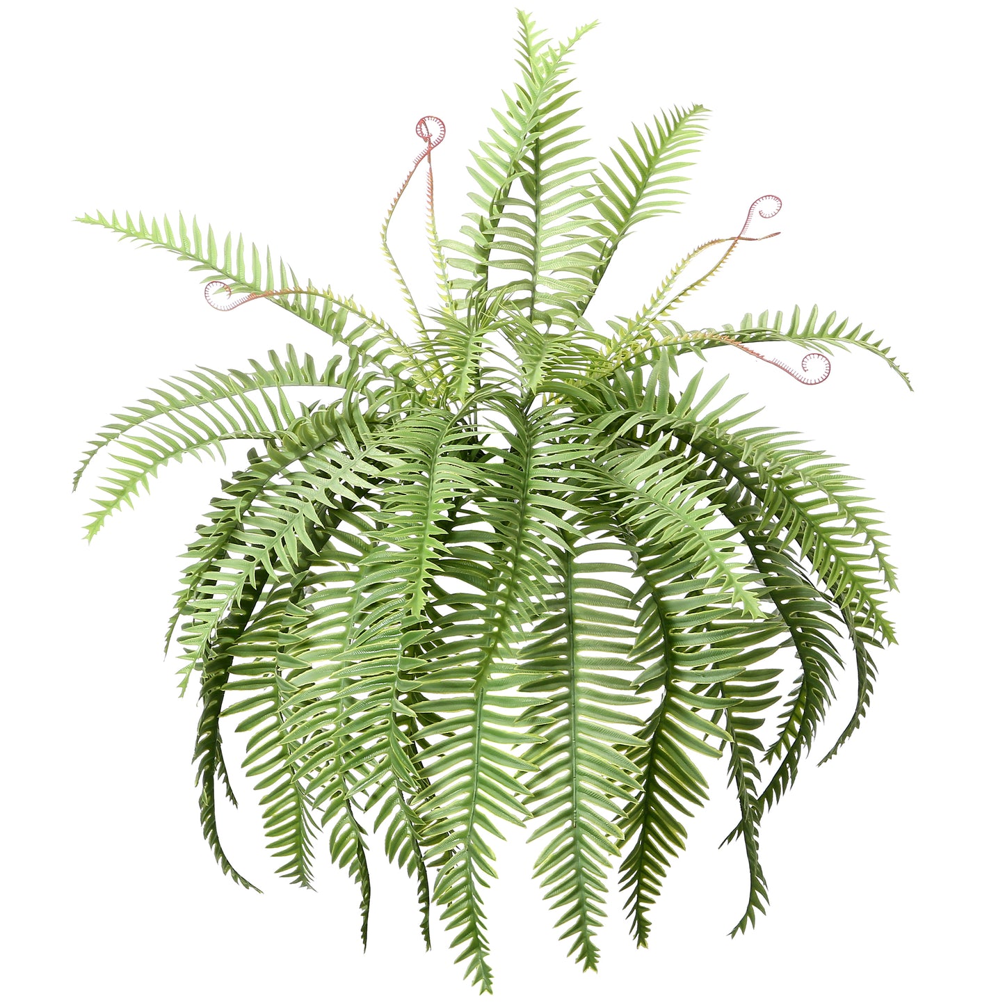 Artificial Boston Ferns 18 Leaves 21" Long