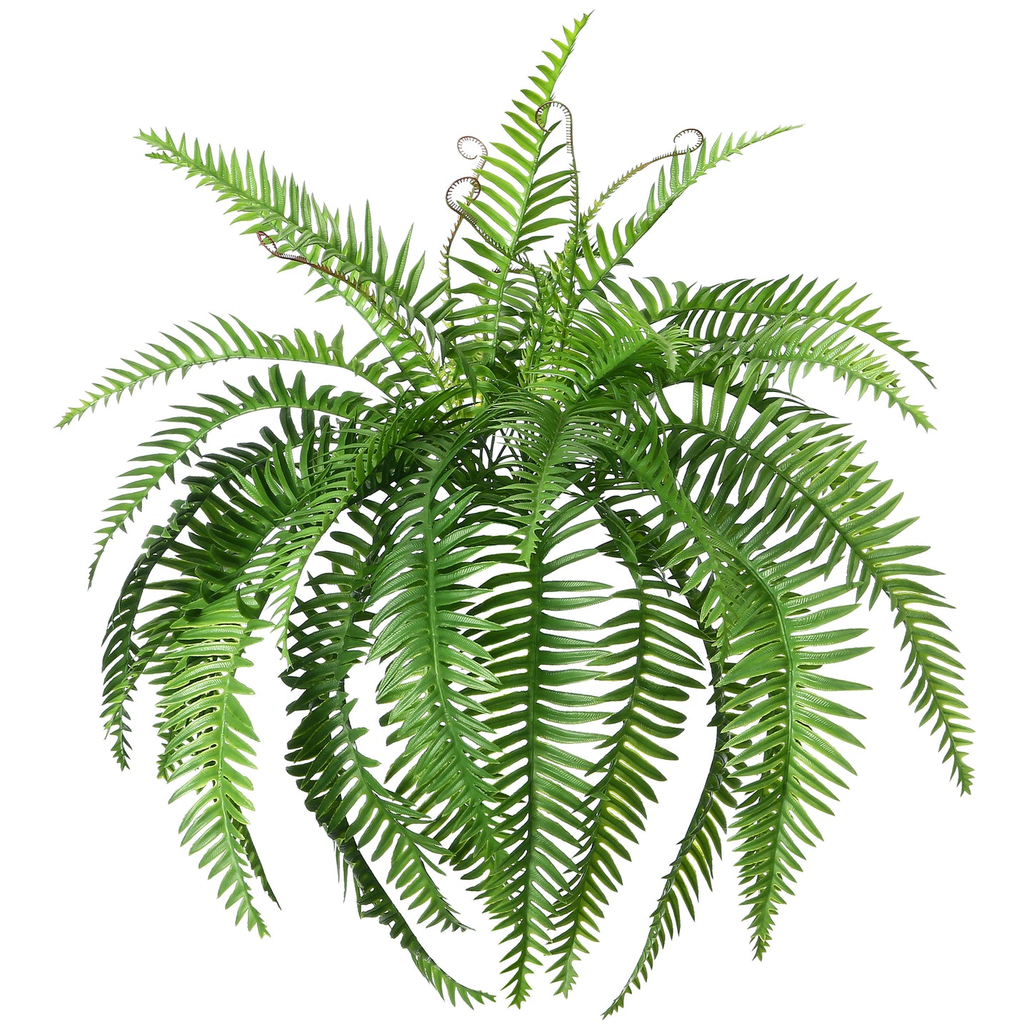 Artificial Boston Ferns 18 Leaves 21" Long