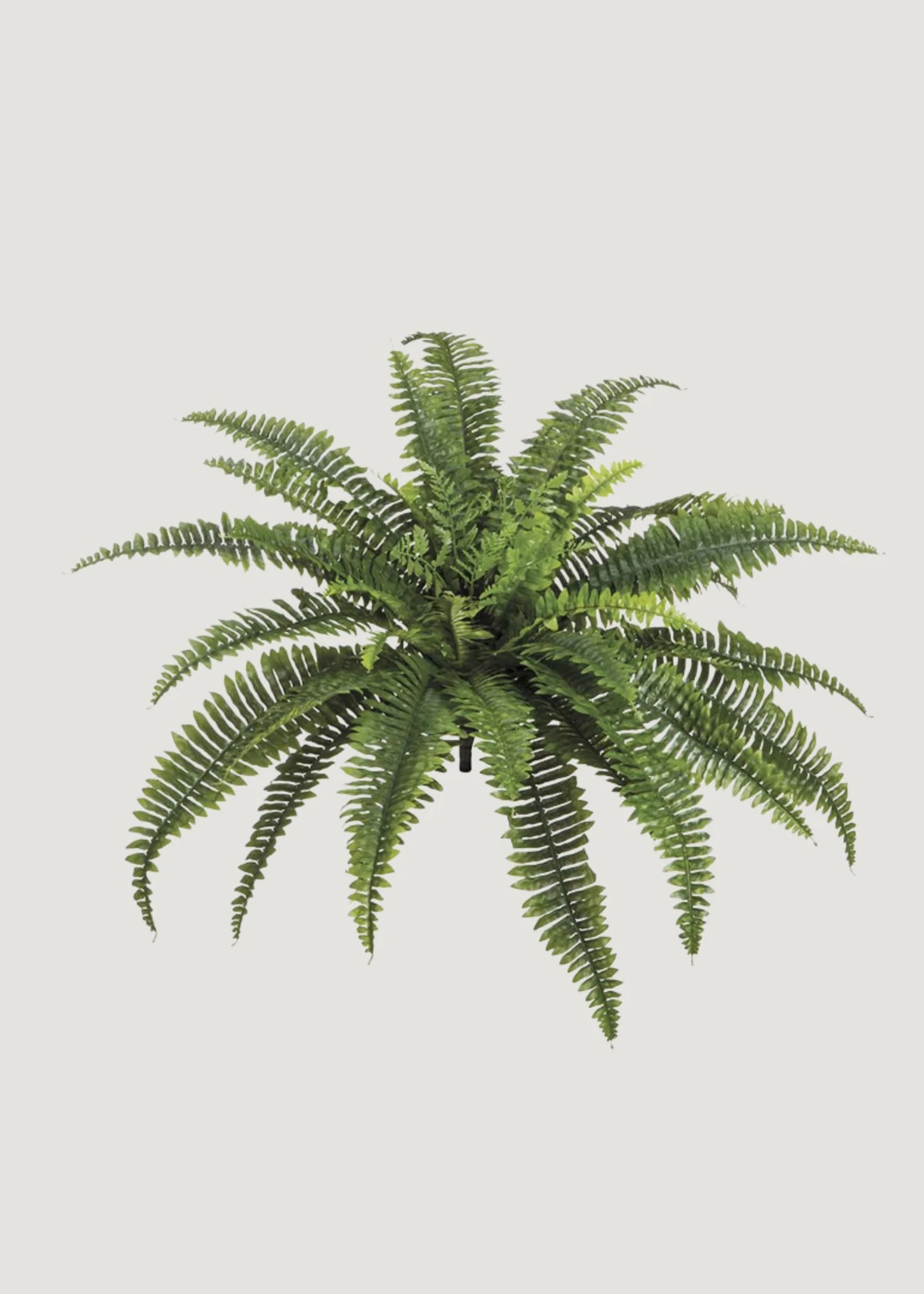 UV Treated Indoor/Covered Outdoor Faux Hanging Boston Fern Plant - 23" 2pcs