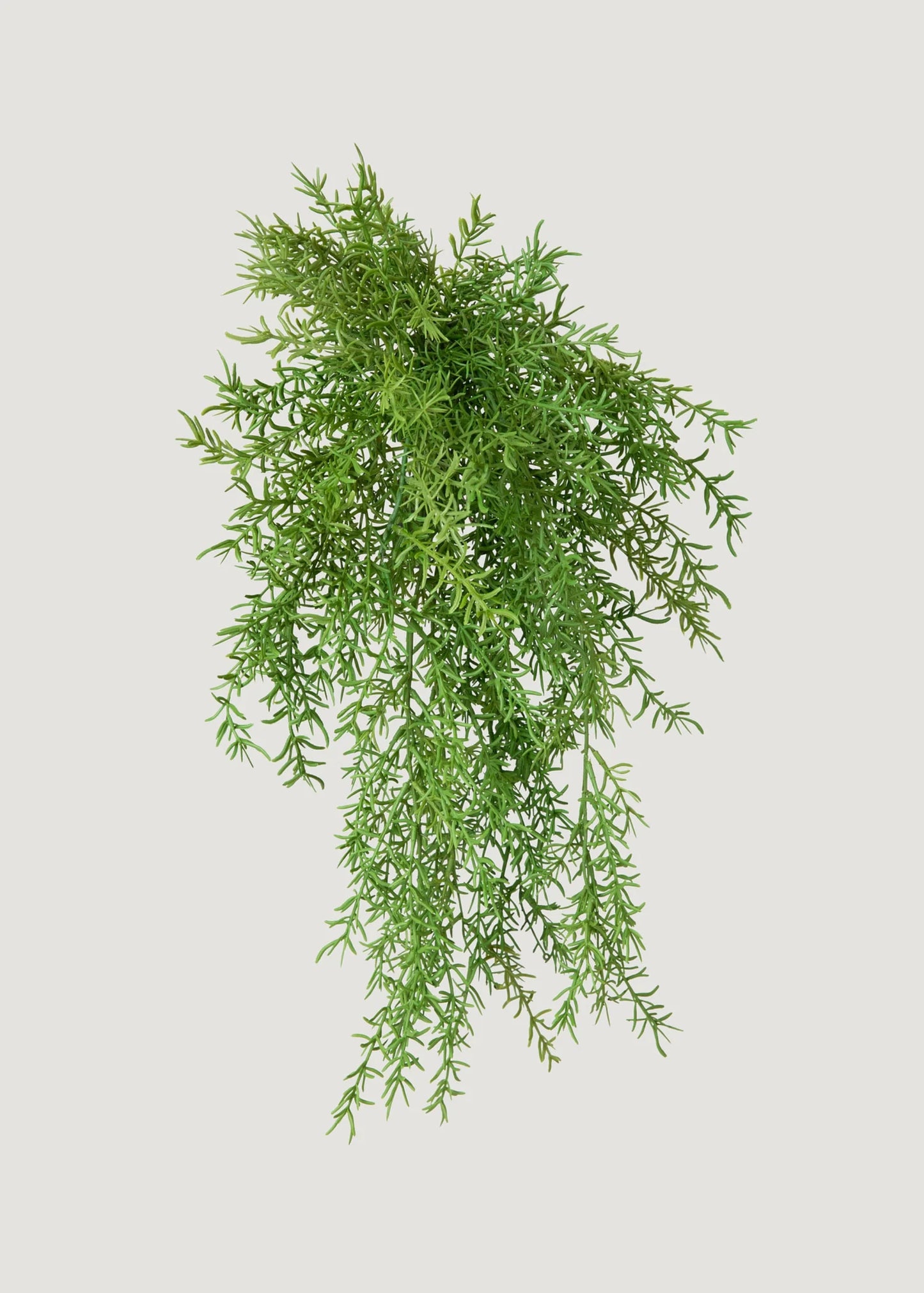 Faux Hanging Asparagus Fern Plant - 22"