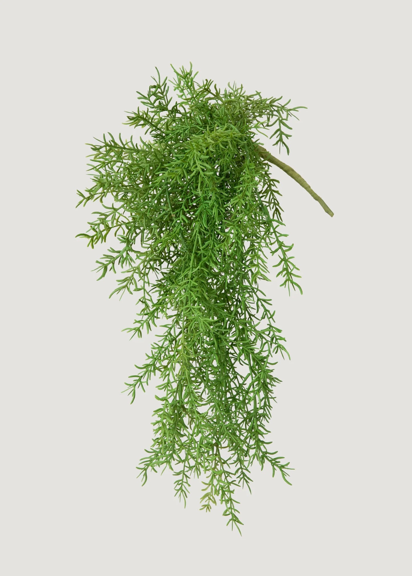 Faux Hanging Asparagus Fern Plant - 22"