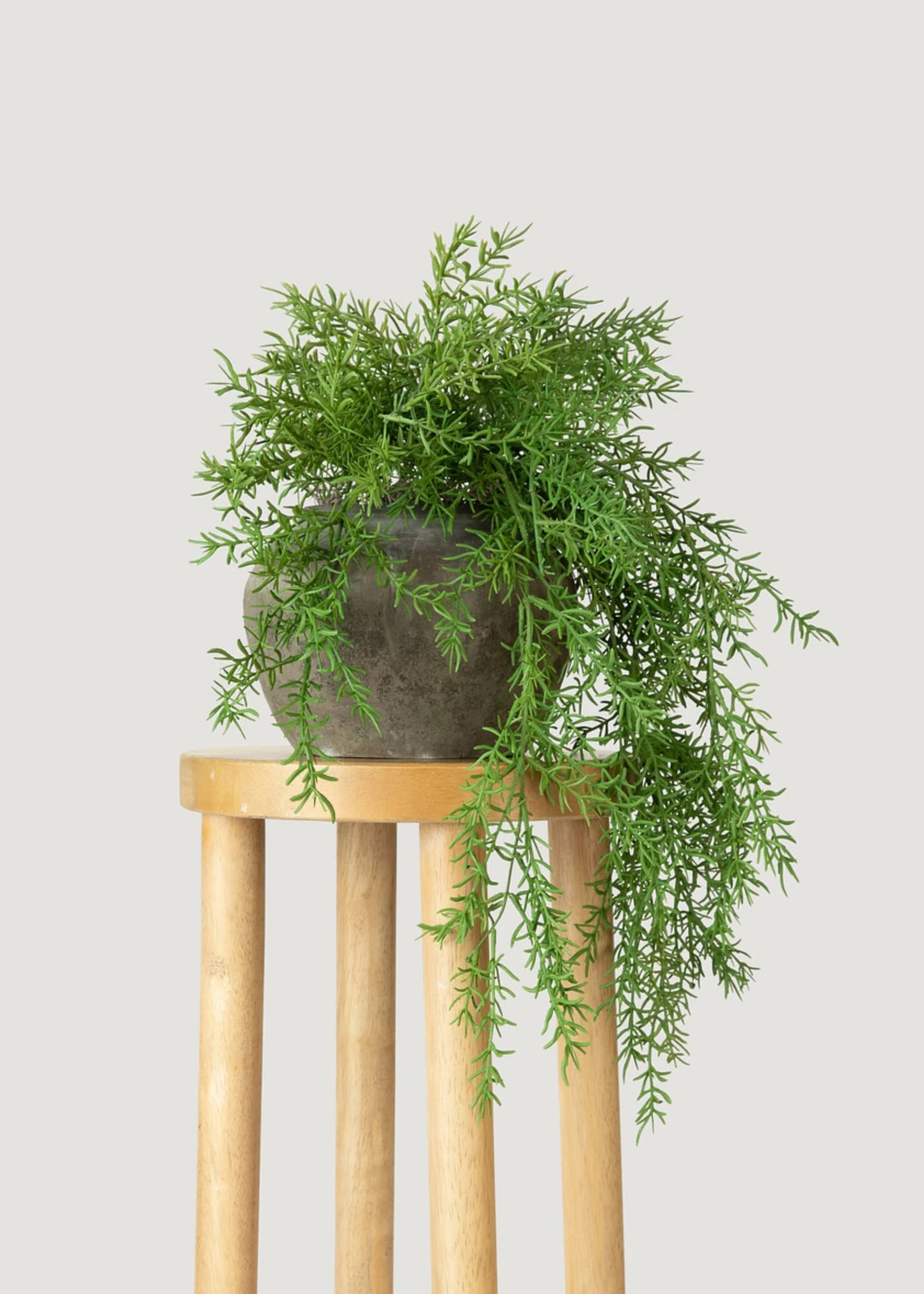 Faux Hanging Asparagus Fern Plant - 22"