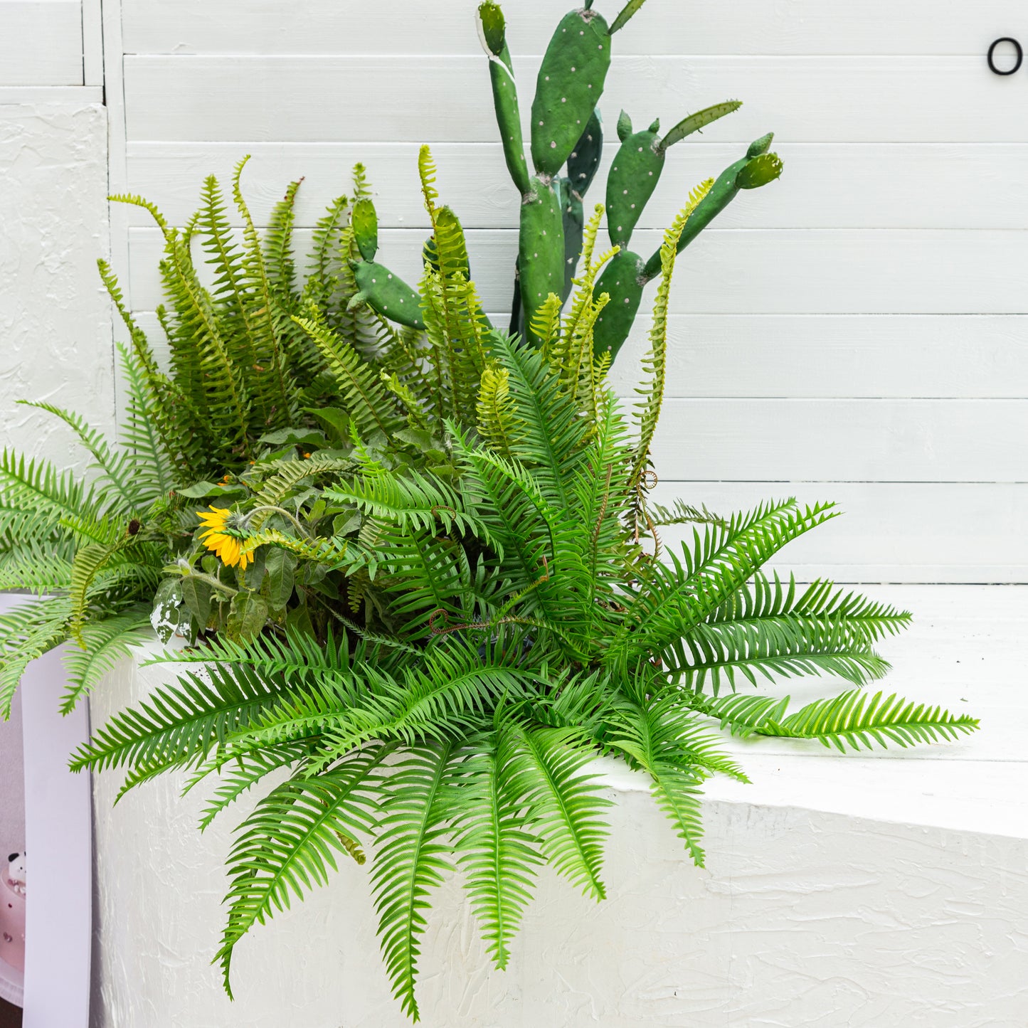 Artificial Boston Ferns 18 Leaves 21" Long
