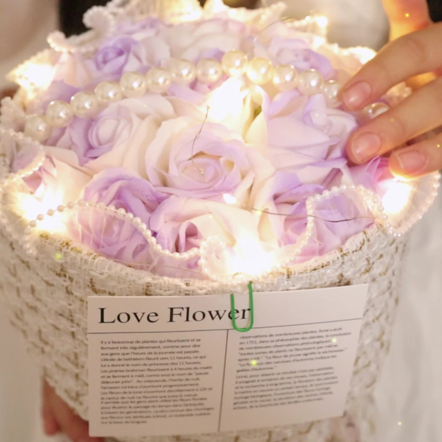 Valentine's Day Rose Flowers Gifts