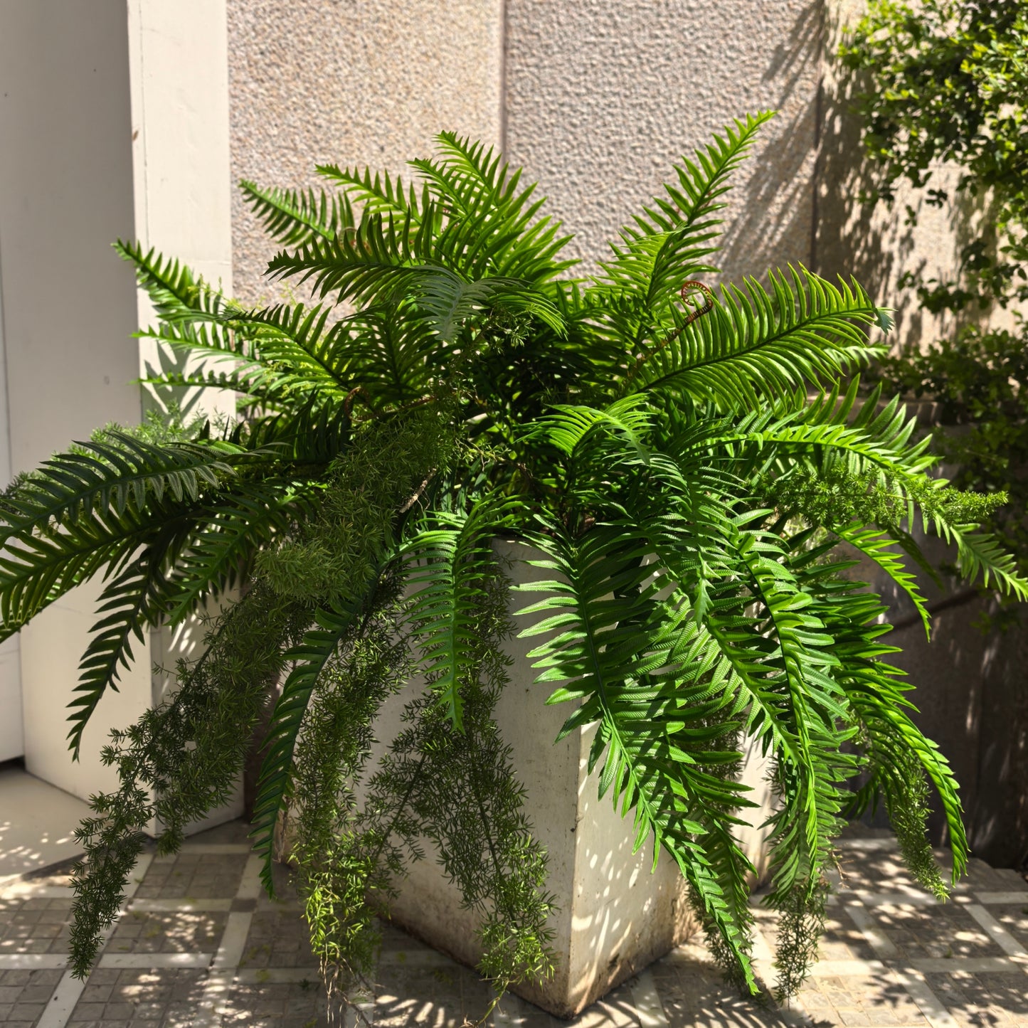 Artificial Boston Ferns 18 Leaves 21" Long