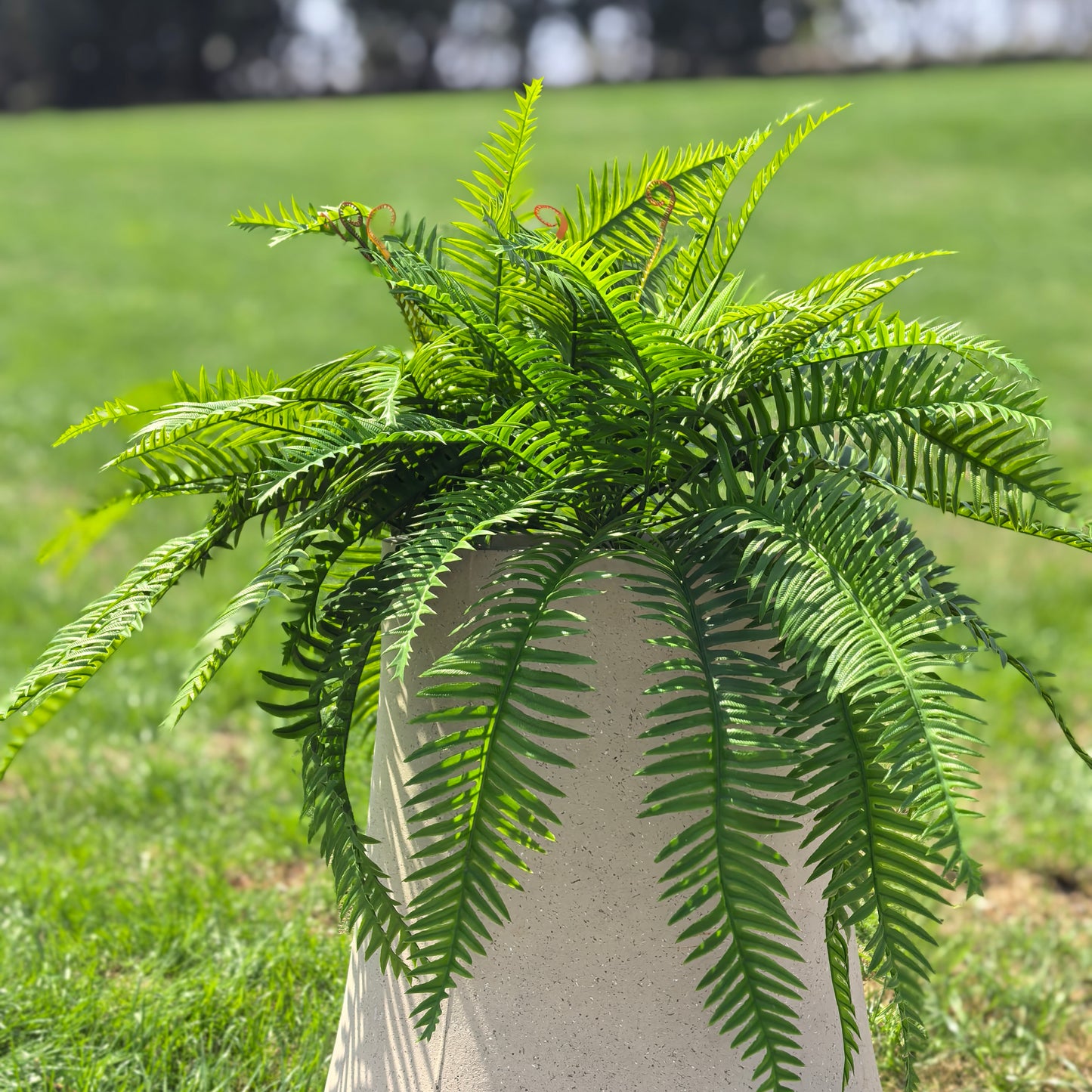 Artificial Boston Ferns 18 Leaves 21" Long