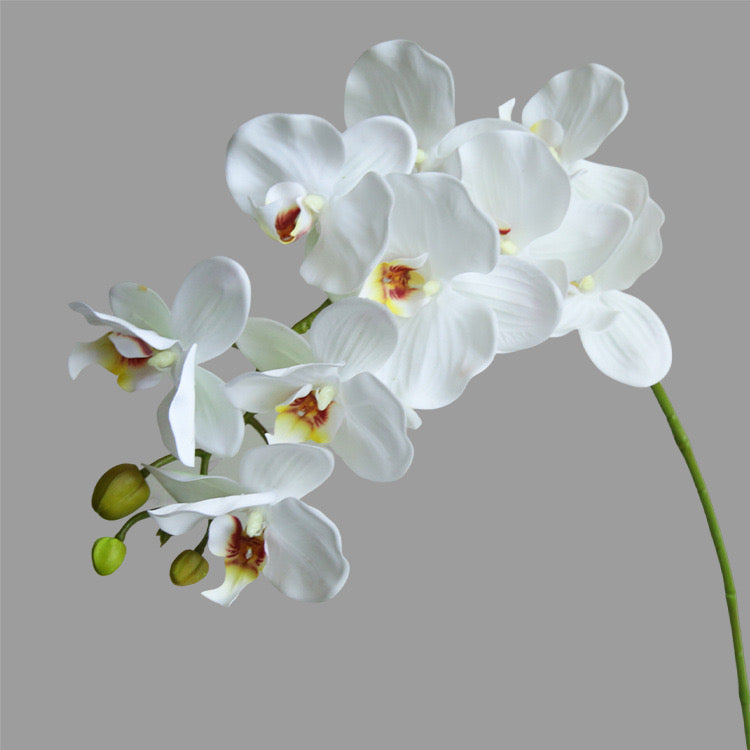 Artificial Phalaenopsis 9 Stems 94CM