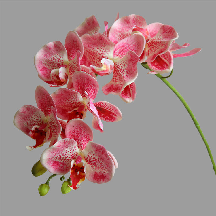 Artificial Phalaenopsis 9 Stems 94CM