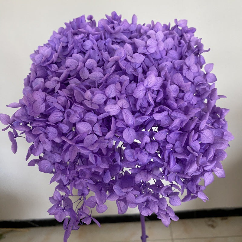 Eternal Hydrangeas Flowers Blue&Purple