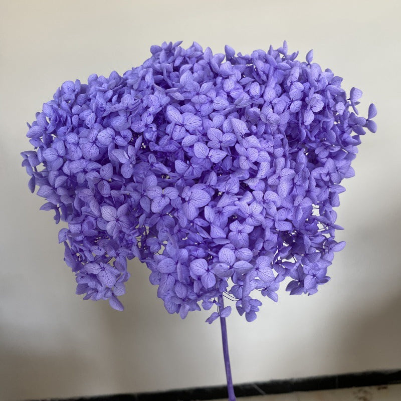 Eternal Hydrangeas Flowers Blue&Purple