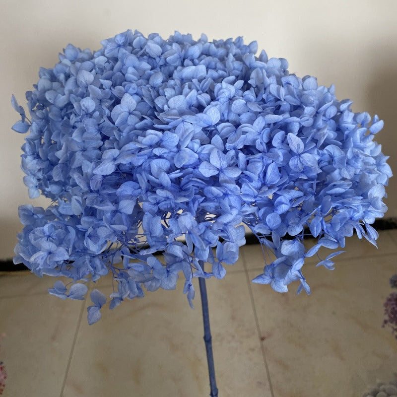 Eternal Hydrangeas Flowers Blue&Purple